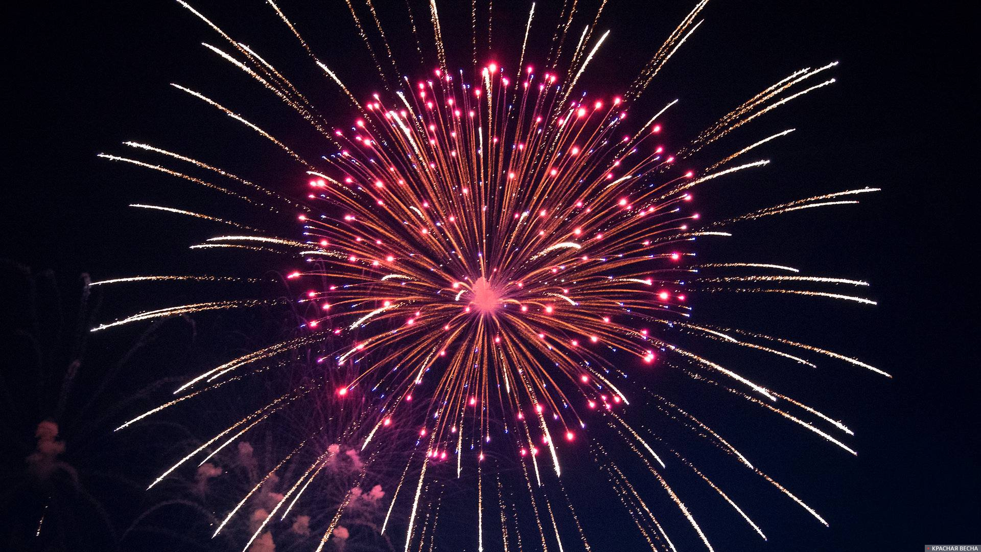 Салют комб. "Новогодняя ночь" (2/1)